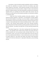 Seimo kontrolierius 11 puslapis