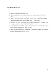 Seimo kontrolierius 12 puslapis