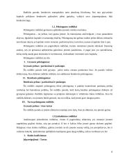 Finansinių rodiklių analizė: atsargų pirkimas ir pardavimas UAB "Aušra" 8 puslapis