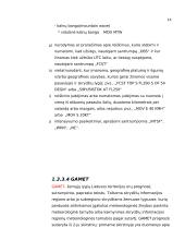 Skrydžių valdymo vaidmuo skrydžių saugos požiūriu. Meteorologinis civilinės aviacijos aprūpinimas 13 puslapis