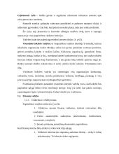 Finansų funkcija organizacijoje 12 puslapis