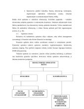 Finansų funkcija organizacijoje 13 puslapis
