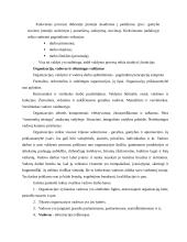 Finansų funkcija organizacijoje 6 puslapis