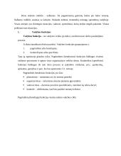 Finansų funkcija organizacijoje 8 puslapis