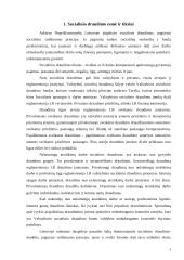 Socialinio draudimo įmonių tarpusavio santykiai 3 puslapis