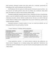 Finansų sistema 11 puslapis