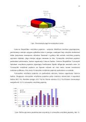 Finansų sistema 16 puslapis