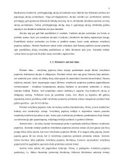 Finansų sistema 7 puslapis