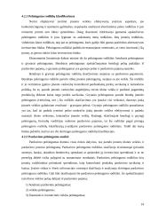 Finansų valdymo esmė ir funkcijos 14 puslapis