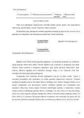 Finansų valdymo esmė ir funkcijos 19 puslapis