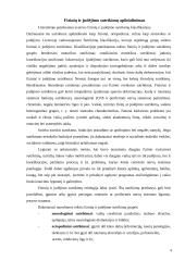 Specialiojo ugdymo–reabilitacijos įstaigų aplinkos pritaikymas judesio ir padėties sutrikimų turintiems asmenims 4 puslapis