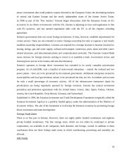 Foreign Direct Investment in Baltic countries 18 puslapis