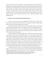 Sprendimo likviduoti Kultūros ir sporto rėmimo fondą racionalumas. Kultūros rėmimo fondo veiklos veiksmingumas 11 puslapis