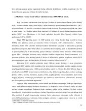 Sprendimo likviduoti Kultūros ir sporto rėmimo fondą racionalumas. Kultūros rėmimo fondo veiklos veiksmingumas 12 puslapis