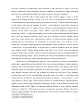 Sprendimo likviduoti Kultūros ir sporto rėmimo fondą racionalumas. Kultūros rėmimo fondo veiklos veiksmingumas 13 puslapis