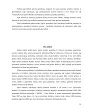Sprendimo likviduoti Kultūros ir sporto rėmimo fondą racionalumas. Kultūros rėmimo fondo veiklos veiksmingumas 16 puslapis