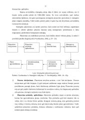 Strateginės veiklos organizavimas: Varėnos rajono savivaldybė 12 puslapis