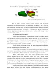 Strateginės veiklos organizavimas: Varėnos rajono savivaldybė 18 puslapis