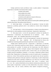 Gamyba, eksporto ir importo procedūros bei tarptautinė logistika 16 puslapis