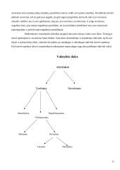 T. Hobso politinės valdžios teorija 10 puslapis