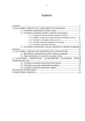 Tarnybinės ir materialinės atsakomybės taikymo procesas 2 puslapis