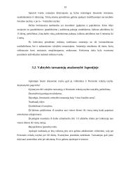 Tarnybinės ir materialinės atsakomybės taikymo procesas 19 puslapis