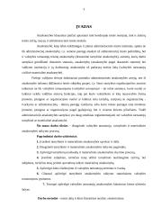 Tarnybinės ir materialinės atsakomybės taikymo procesas 3 puslapis