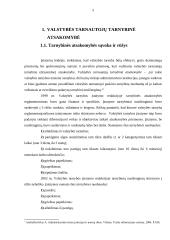 Tarnybinės ir materialinės atsakomybės taikymo procesas 5 puslapis