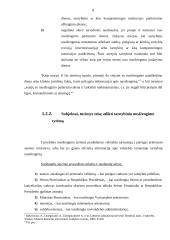 Tarnybinės ir materialinės atsakomybės taikymo procesas 8 puslapis