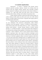 Gamybos ir kaštų funkcijų nustatymas įmonėje 2 puslapis