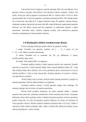 Gamybos ir kaštų funkcijų nustatymas įmonėje 11 puslapis