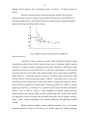 Gamybos ir kaštų funkcijų nustatymas įmonėje 15 puslapis