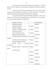 Gamybos ir kaštų funkcijų nustatymas įmonėje 18 puslapis