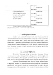 Gamybos ir kaštų funkcijų nustatymas įmonėje 19 puslapis