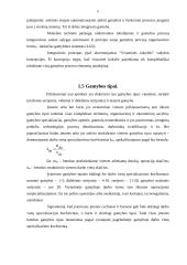 Gamybos ir kaštų funkcijų nustatymas įmonėje 5 puslapis