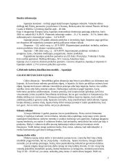 Tarptautinė dalykinė komunikacija: Ispanija 2 puslapis