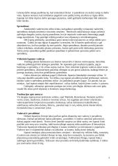 Tarptautinė dalykinė komunikacija: Ispanija 3 puslapis