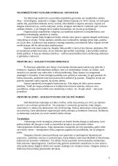 Tarptautinė dalykinė komunikacija: Ispanija 4 puslapis