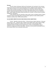 Tarptautinė dalykinė komunikacija: Ispanija 6 puslapis