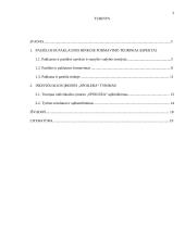 Gaminių paklausos tyrimas vartotojų aspektu: automobilių tiuningavimo IĮ "Spoilera" 2 puslapis