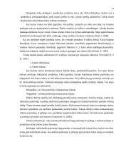 Gaminių paklausos tyrimas vartotojų aspektu: automobilių tiuningavimo IĮ "Spoilera" 11 puslapis