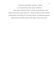 Gaminių paklausos tyrimas vartotojų aspektu: automobilių tiuningavimo IĮ "Spoilera" 13 puslapis