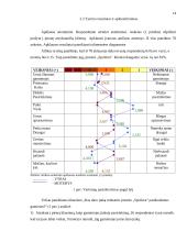 Gaminių paklausos tyrimas vartotojų aspektu: automobilių tiuningavimo IĮ "Spoilera" 14 puslapis