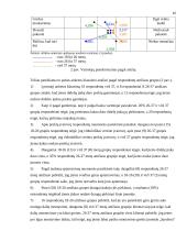 Gaminių paklausos tyrimas vartotojų aspektu: automobilių tiuningavimo IĮ "Spoilera" 16 puslapis