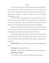 Gaminių paklausos tyrimas vartotojų aspektu: automobilių tiuningavimo IĮ "Spoilera" 3 puslapis