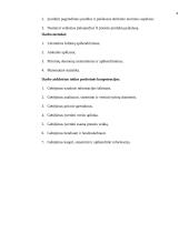 Gaminių paklausos tyrimas vartotojų aspektu: automobilių tiuningavimo IĮ "Spoilera" 4 puslapis