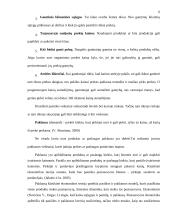 Gaminių paklausos tyrimas vartotojų aspektu: automobilių tiuningavimo IĮ "Spoilera" 6 puslapis