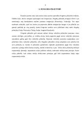 Tarptautinės teisės ir nacionalinės teisės normų santykis reguliuojant pilietybės klausimus 6 puslapis