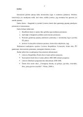 Gamintojų pajamų palaikymo priemonės ir instrumentai 2 puslapis