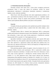 Gamintojų pajamų palaikymo priemonės ir instrumentai 13 puslapis